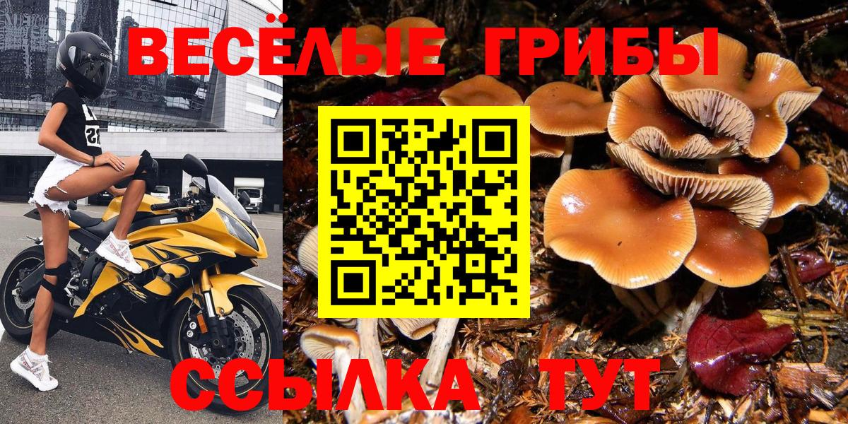 Псилоцибиновые грибы мухоморы  Галлюциногенные грибы MAGIC MUSHROOMS  Вход с VPN  купить наркоту  Костомукша 