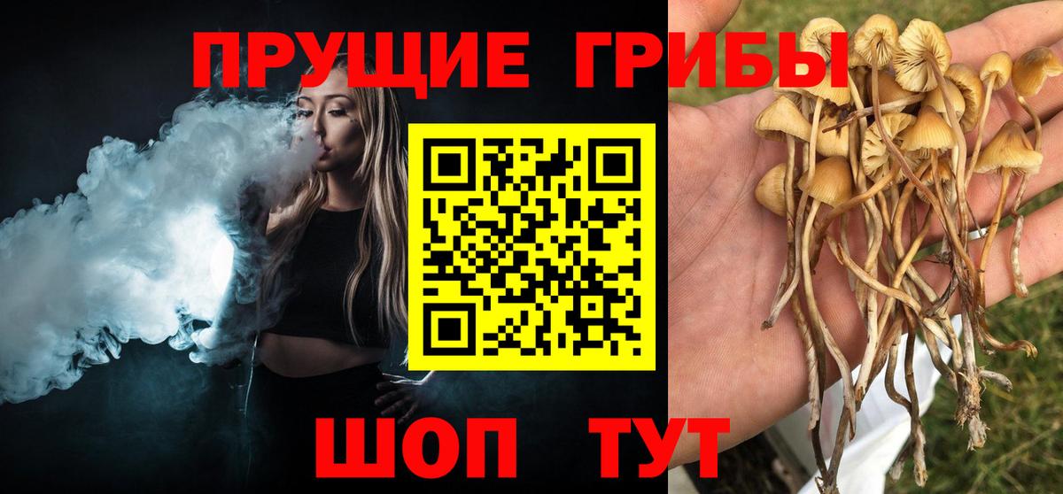 Псилоцибиновые грибы ЛСД Костомукша